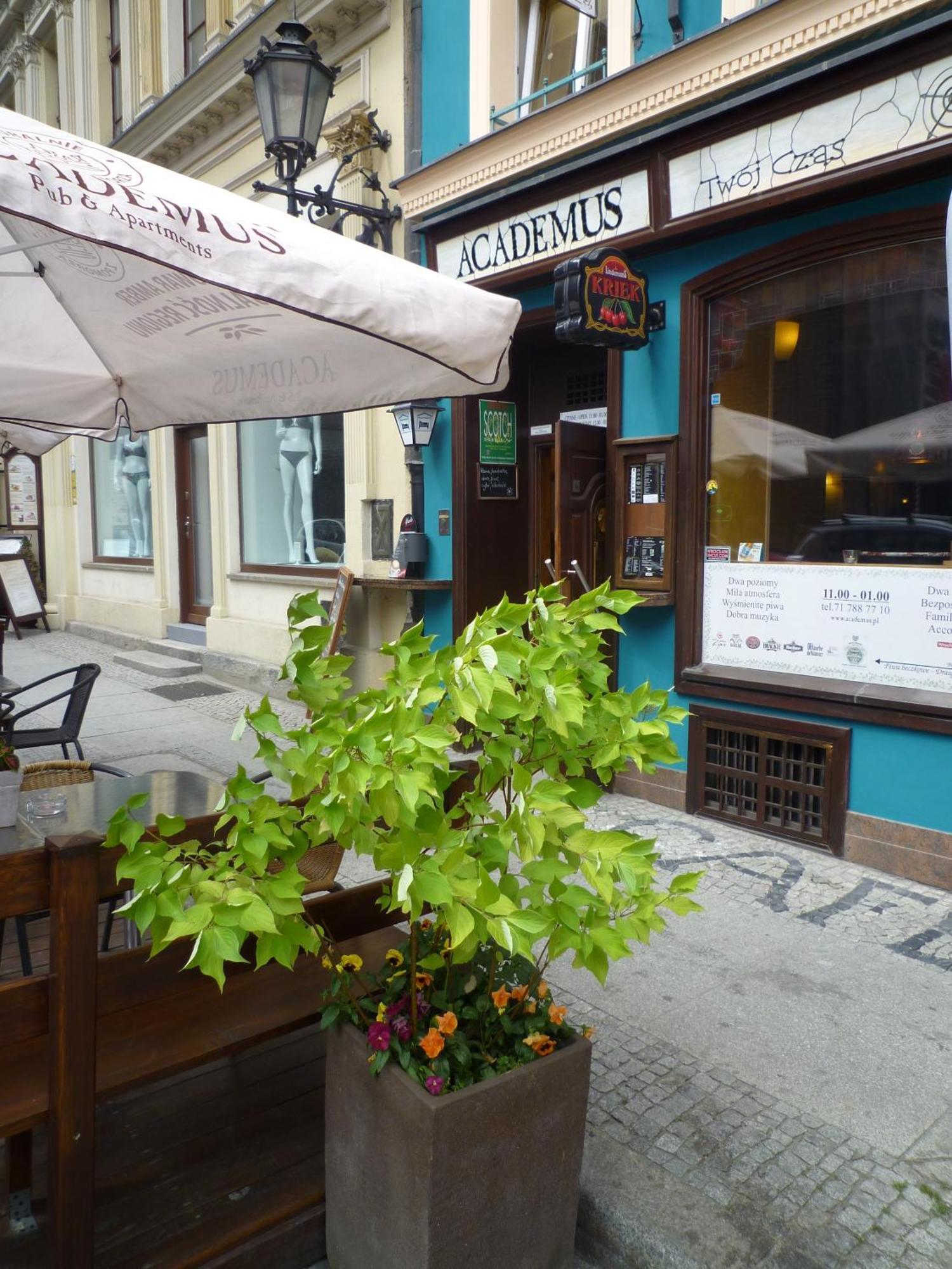 Academus Pub & Guest House วรอตซวาฟ ภายนอก รูปภาพ